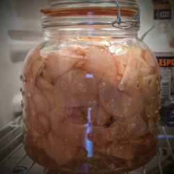 Eve fridge