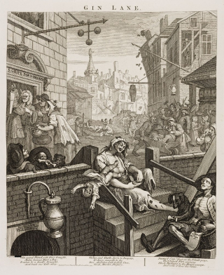 Gin_4_505178