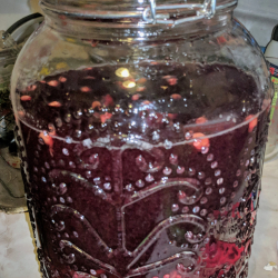 Cherry bounce 7