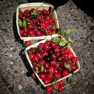 Cherry bounce 1